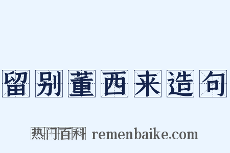 留别董西来造句是什么意思的图片